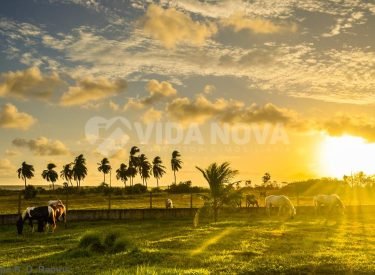 11436481754_a6befeb554_b