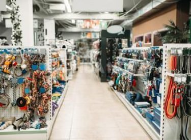 240_F_213066549_aRaWSBG17Ulzox4R7XxopTu2AKT6UHJv