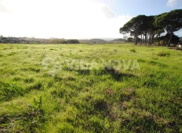 2bf7526c61391e8a7ab313e1dd02509a