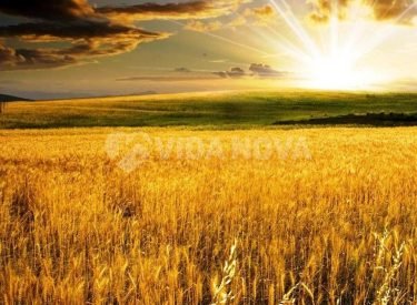 2e2839b02469d1c1e5a96d9458bcc01e