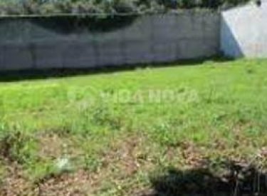 322953376_5787450784702861_6806433003284777481_n