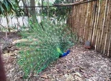 375739983_24445343891719535_5316199887329213208_n