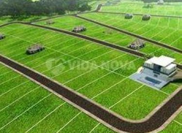 393790763_7110659642387677_8924555159000371805_n