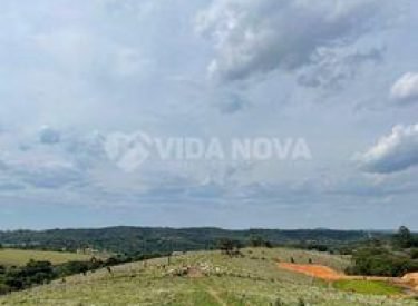 442045572_1124652845285385_3839007904983368413_n