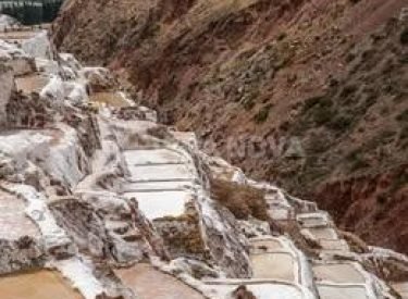 515513285_1288558049497496_3302137521447658618_n