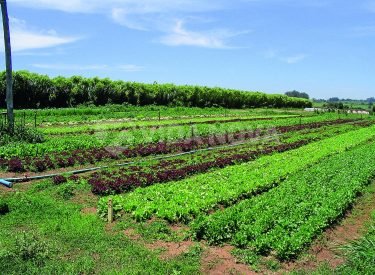 54f0cc744f95c72f546825b549fc139b