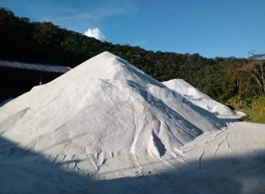 808298f7-3a75-4825-b72f-e6a966869215