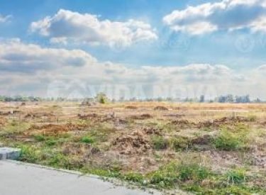 Captura de tela_17-6-2024_75956_www.bing.com