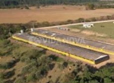 Captura de tela_24-5-2024_132638_web.whatsapp.com