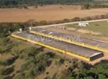 Captura de tela_24-5-2024_132638_web.whatsapp.com