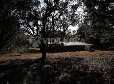 IMG_20220512_154732305