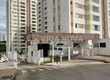 RAIZES DO CAMPOLIM 6