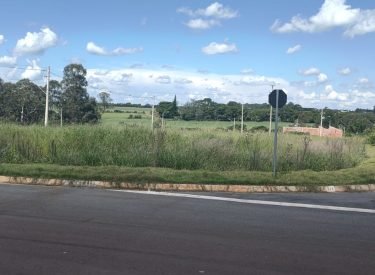 WhatsApp Image 2022-02-07 at 12.59.14 (10)