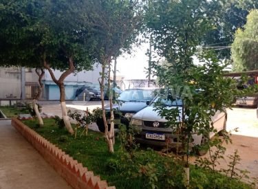 WhatsApp Image 2022-09-06 at 15.18.04 (1)