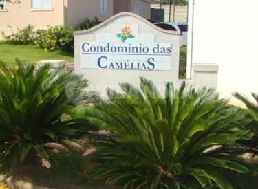 WhatsApp Image 2022-12-31 at 07.59.23