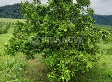 WhatsApp Image 2023-01-19 at 09.40.09 (1)