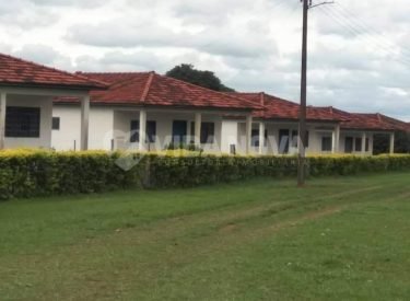 WhatsApp Image 2023-01-27 at 09.51.52 (2)