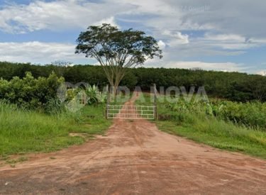 WhatsApp Image 2023-01-27 at 10.36.27