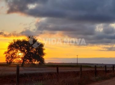 WhatsApp Image 2023-01-31 at 19.17.19 (1)