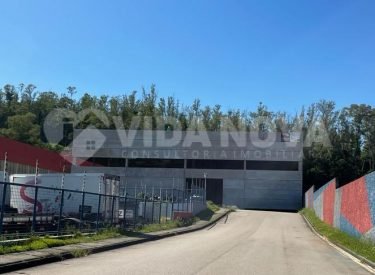 WhatsApp Image 2023-02-09 at 09.40.45 (1)