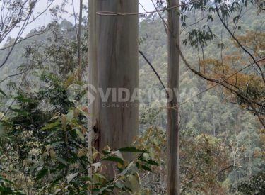 WhatsApp Image 2023-02-09 at 11.31.01 (1)