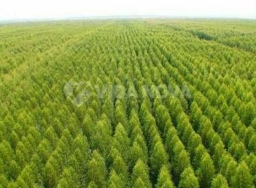 WhatsApp Image 2023-02-09 at 11.31.43