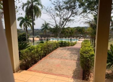 WhatsApp Image 2023-02-28 at 13.00.21