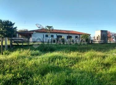 WhatsApp Image 2023-03-04 at 06.37.33