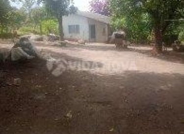 WhatsApp Image 2023-03-11 at 16.18.16