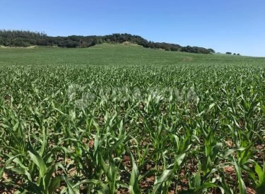 WhatsApp Image 2023-04-03 at 18.21.08 (2)