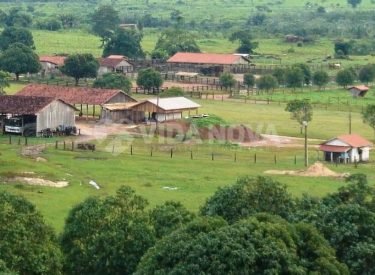 WhatsApp Image 2023-04-08 at 06.17.50 (3)