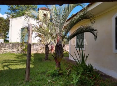 WhatsApp Image 2023-04-14 at 13.49.12 (2)