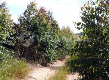 WhatsApp Image 2023-04-19 at 08.45.47 (1)