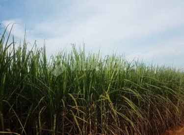 WhatsApp Image 2023-04-24 at 09.31.25 (3)