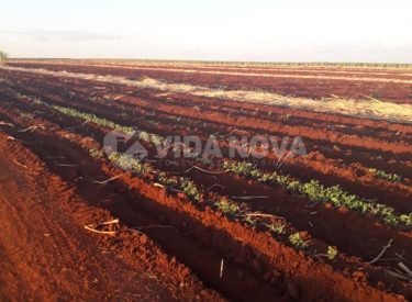 WhatsApp Image 2023-04-24 at 14.57.29