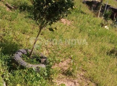 WhatsApp Image 2023-04-25 at 11.46.55 (1)