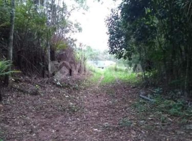 WhatsApp Image 2023-04-25 at 15.17.27 (1)