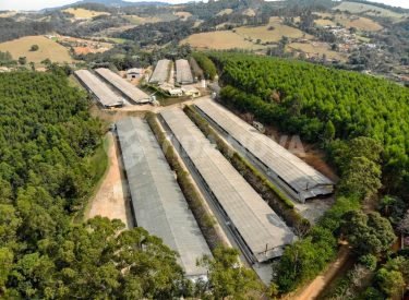 WhatsApp Image 2023-04-25 at 16.15.44