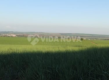 WhatsApp Image 2023-04-27 at 14.34.56