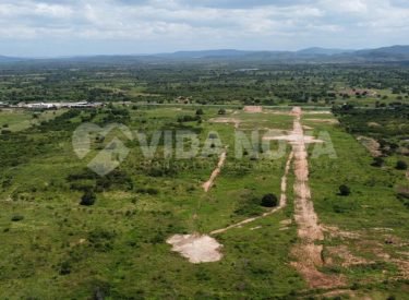 WhatsApp Image 2023-05-05 at 13.56.41