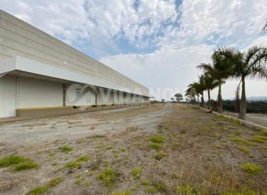 WhatsApp Image 2023-05-24 at 11.39.33