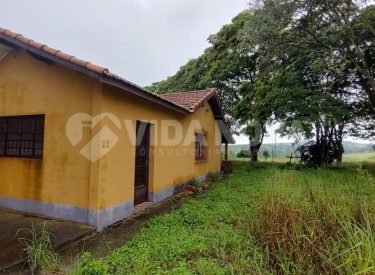 WhatsApp Image 2023-08-09 at 10.31.25 (1)