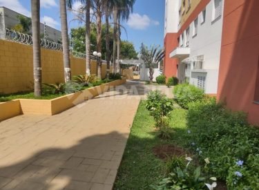 WhatsApp Image 2023-08-10 at 16.41.52 (1)