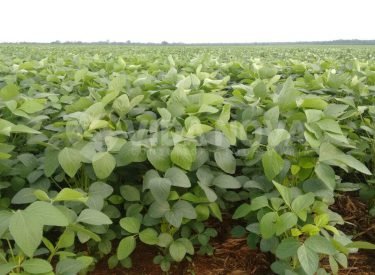 WhatsApp Image 2023-08-19 at 09.13.30 (3)