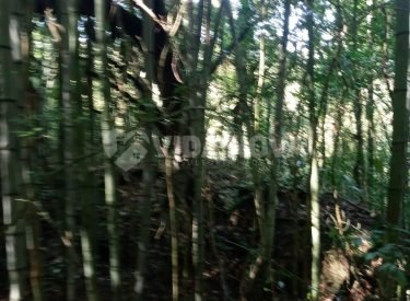 WhatsApp Image 2023-09-04 at 10.59.10