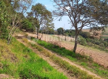 WhatsApp Image 2023-09-26 at 13.42.27