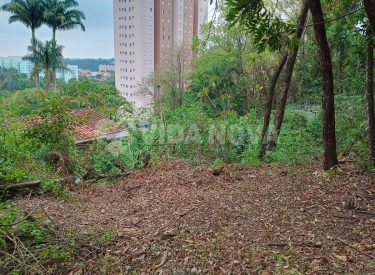 WhatsApp Image 2023-10-02 at 15.26.42 (1)