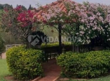 WhatsApp Image 2023-10-18 at 15.07.39