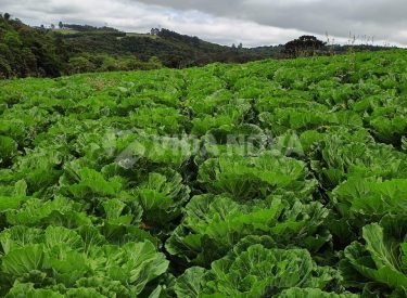 WhatsApp Image 2023-10-21 at 11.35.40 (2)