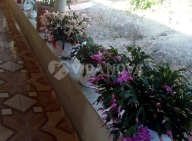 WhatsApp Image 2023-10-24 at 15.33.37